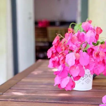 Bougainville Città di Lipari