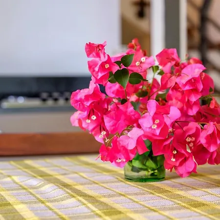 Bougainville Apartmán *
